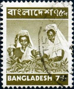 Colnect-2821-159-Tea-pickers.jpg