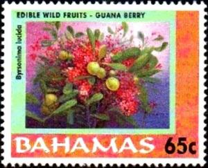 Colnect-3817-049-Guana-berry.jpg