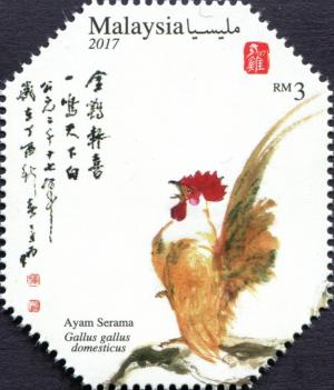 Colnect-4339-979-Ayam-Serama.jpg