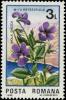 Colnect-5816-619-Viola-dacica.jpg