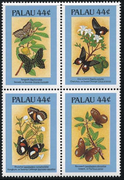 Skap-palau_01_bfly.jpg