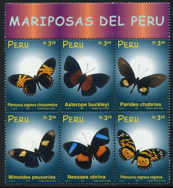 Skap-peru_05_bfly.jpg