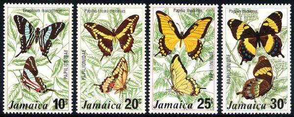 Skap-jamaica_08_bflies.jpg