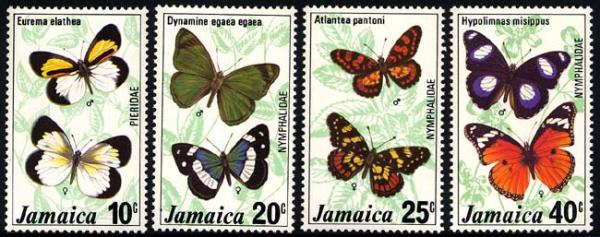 Skap-jamaica_09_bflies.jpg