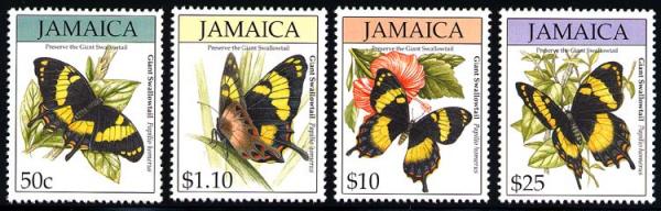 Skap-jamaica_19_bflies.jpg