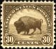 Buffalo_1923.jpg