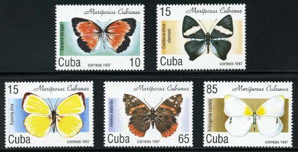 Skap-cuba_27_bfly.jpg