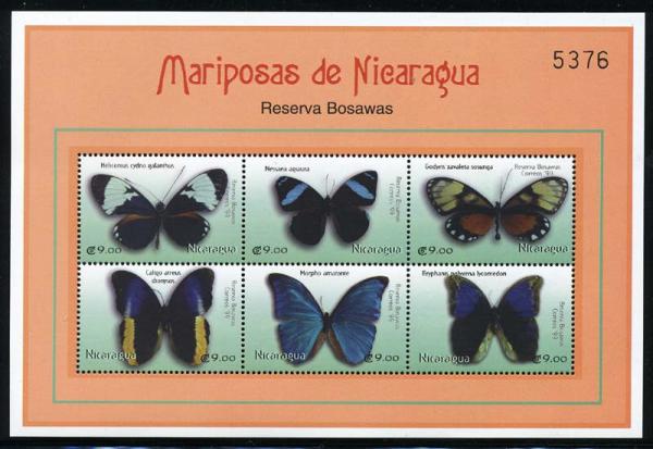 Skap-nicaragua_23_bfly-ms2.jpg