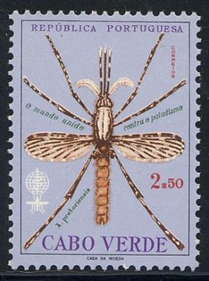 Skap-cape-verde_01_who-malaria_326.jpg