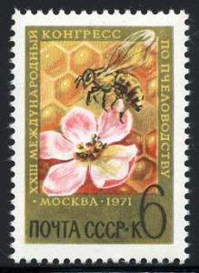 Skap-russia_09_bee.jpg