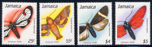 Skap-jamaica_15_moth.jpg