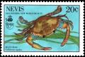 Colnect-3533-418-Blue-crab-Callinectes-sapidus.jpg