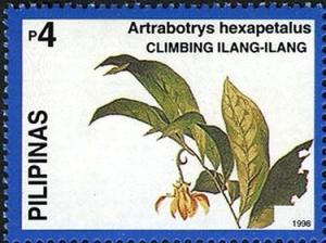 Colnect-2335-394-Artrabotrys-hexapetalus.jpg