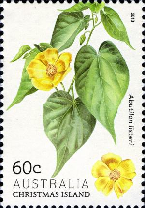 Colnect-2747-319-Abutilon-listeri.jpg