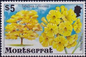 Colnect-3904-849-Tabebuia-rufescens.jpg