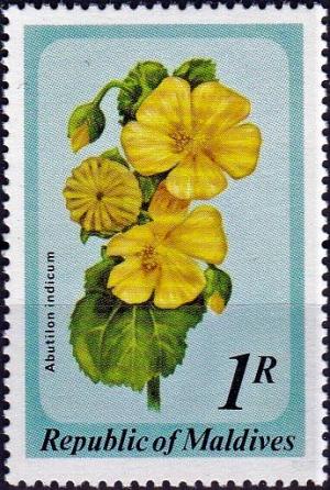 Colnect-4124-220-Abutilon-indicum.jpg