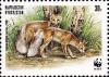 Colnect-2703-566-Corsac-Fox-Vulpes-corsac.jpg