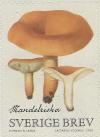 Colnect-2981-049-Lactarius-volemus.jpg