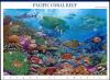 Colnect-6111-216-Pacific-Coral-Reef.jpg