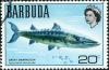 Colnect-881-990-Great-Barracuda-Sphyraena-barracuda.jpg