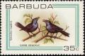 Colnect-1506-880-Carib-Grackle-Quiscalus-lugubris.jpg