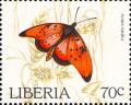 Colnect-2288-657-Natal-Acraea-Acraea-natalica.jpg