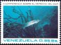 Colnect-2301-133-Great-Barracuda-Sphyraena-barracuda.jpg