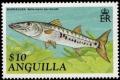 Colnect-2770-292-Great-Barracuda-Sphyraena-barracuda.jpg