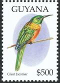 Colnect-3032-542-Greaz-Jacamar-Jacamerops-aurea.jpg