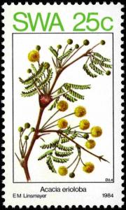 Colnect-5211-056-Acacia-eriolaba.jpg