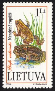 Colnect-1994-522-Natterjack-Toad-Bufo-calamita.jpg