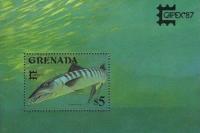 Colnect-2414-439-Great-Barracuda-Sphyraena-barracuda.jpg