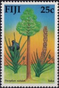 Colnect-3258-887-Dacrydium-Nidulum.jpg