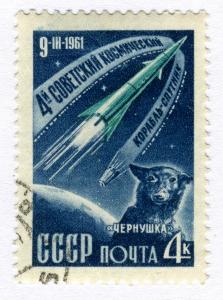 Soviet_Space_Dog.jpg