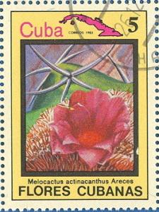 Colnect-674-917-Melocactus-actinacanthus.jpg