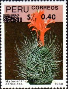 Colnect-5541-673-Cacti---overprint.jpg