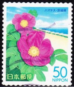 Colnect-4575-202-Beach-rose--amp--Pacific-Coast---Ibaraki-Prefecture.jpg