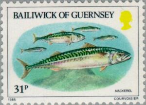 Colnect-125-903-Atlantic-Mackerel-Scomber-scombrus.jpg