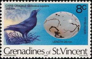 Colnect-1753-910-Carib-Grackle-Quiscalus-lugubris.jpg