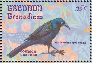 Colnect-2193-394-Common-Grackle-Quiscalus-quiscula.jpg