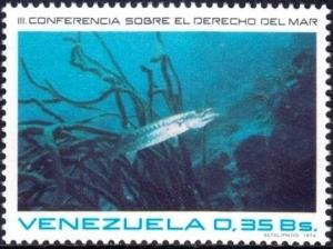 Colnect-2301-133-Great-Barracuda-Sphyraena-barracuda.jpg