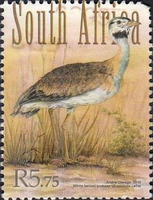 Colnect-3372-510-Southern-Black-Bustard-Eupodotis-cafra.jpg