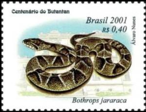 Colnect-4042-807-Jararaca-Bothrops-jararaca.jpg