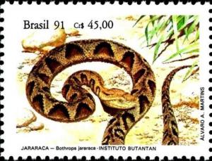 Colnect-4895-326-Jararaca-Bothrops-jararaca.jpg