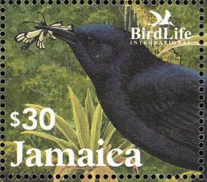 Colnect-5269-693-Jamaican-Blackbird-Nesopsar-nigerrimus.jpg