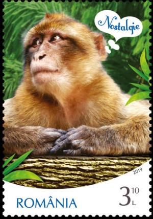 Colnect-6238-847-Macaque-Macaca-sylvanus-and-Nostalgia.jpg