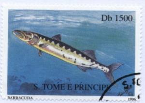 Colnect-938-316-Great-Barracuda-Sphyraena-barracuda.jpg