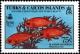 Colnect-4000-042-Blackbar-Soldierfish.jpg