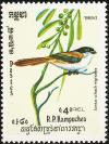 Colnect-1523-481-Long-tailed-Black-headed-Shrike-Lanius-schach-nigriceps.jpg