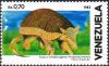 Colnect-2648-193-Giant-Armadillo-Priodontes-maximus.jpg